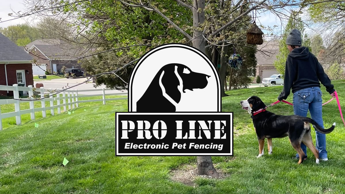 Indianapolis Wireless Pet Fence Installation, Dog Fences